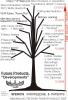 Future Sferics development tree